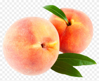 Peach Fruits With Leaf - Peach Fruits With Leaf Peach Fruits With Leaf - Peach Fruits With Leaf