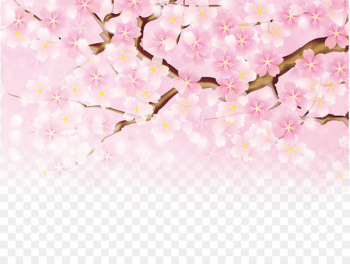 Peach Fundal Pink Poster - Pink cherry blossoms Peach Fundal Pink Poster - Pink cherry blossoms
