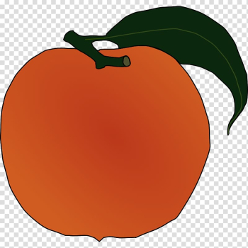 Peach graphics Open, peach transparent background PNG clipart