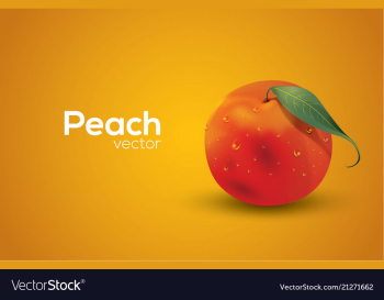 Peach in format vector image Peach in format vector image