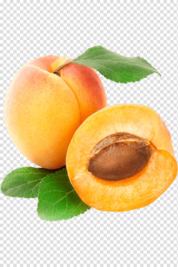 Peach, Peach Apricot Fruit , apricot transparent background PNG clipart Peach, Peach Apricot Fruit , apricot transparent background PNG clipart