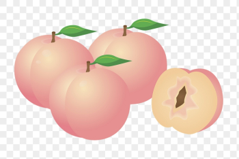 Peaches png sticker, fruit illustration | Free PNG - rawpixel Peaches png sticker, fruit illustration | Free PNG - rawpixel