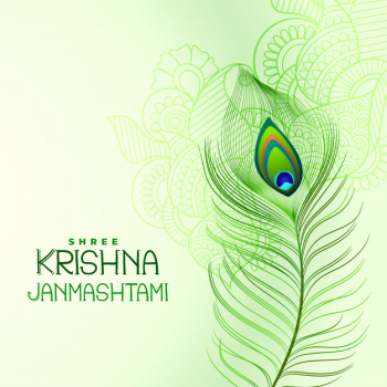 Peacock feather for shree krishna janmashtami Free Vector Peacock feather for shree krishna janmashtami Free Vector
