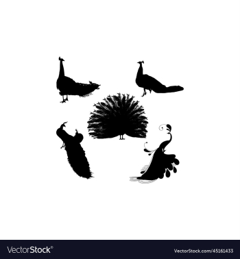 peacock set silhouette icon logo peacock set silhouette icon logo