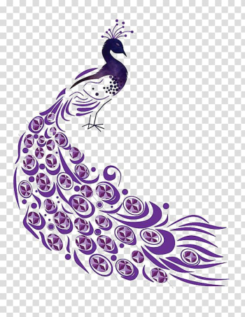 Peafowl Illustration, Purple Peacock transparent background PNG clipart