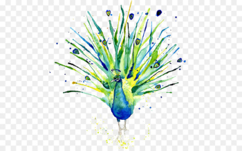 Peafowl Logo of NBC Watercolor painting - Watercolor Peacock Peafowl Logo of NBC Watercolor painting - Watercolor Peacock