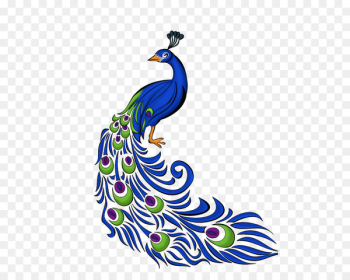 Peafowl Portable Network Graphics Clip art Vector graphics Transparency - ceasar design element 
