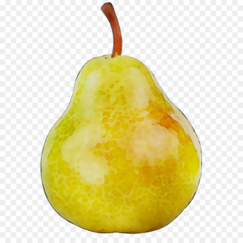 Pear Accessory fruit Fahrenheit - Pear Accessory fruit Fahrenheit -