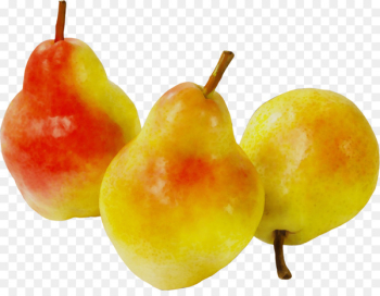 Pear Accessory fruit Food Apple - Pear Accessory fruit Food Apple -