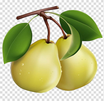 Pear Berry Fruit , pear transparent background PNG clipart Pear Berry Fruit , pear transparent background PNG clipart
