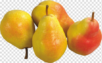 Pear Fruit Amygdaloideae TIFF, Pear transparent background PNG clipart Pear Fruit Amygdaloideae TIFF, Pear transparent background PNG clipart
