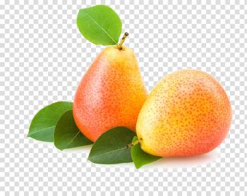 Pear Fruit Icon, Pear fruit transparent background PNG clipart Pear Fruit Icon, Pear fruit transparent background PNG clipart