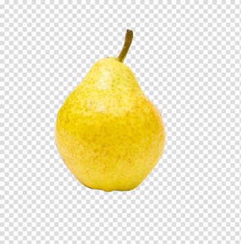Pear Fruit Vegetable, pear transparent background PNG clipart Pear Fruit Vegetable, pear transparent background PNG clipart
