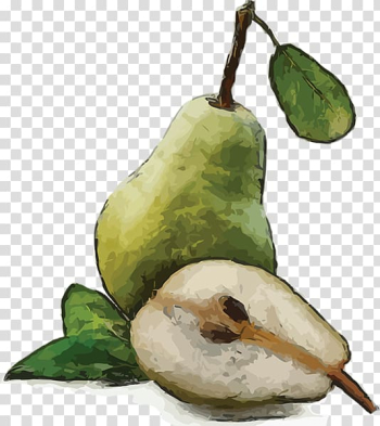 Pear Fruit Watercolor painting, pear transparent background PNG clipart Pear Fruit Watercolor painting, pear transparent background PNG clipart