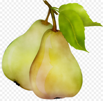 Pear Natural foods Still life photography - Pear Natural foods Still life photography -