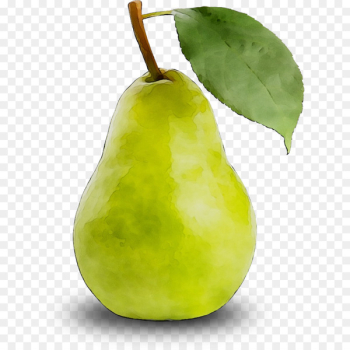 Pear Still life photography Apple Fahrenheit - Pear Still life photography Apple Fahrenheit -
