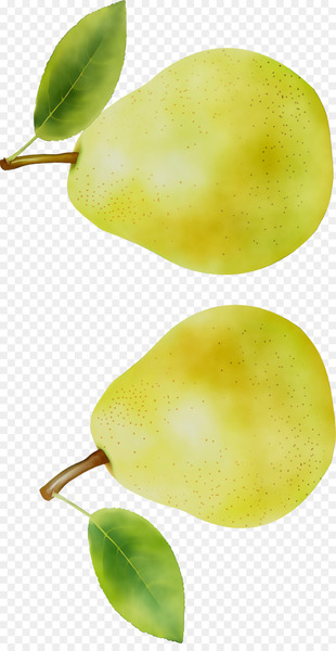 Pear Still life photography Fahrenheit - Pear Still life photography Fahrenheit -