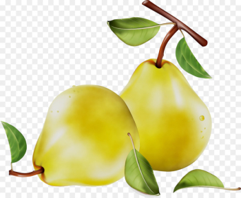 Pear Still life photography Superfood - Pear Still life photography Superfood -
