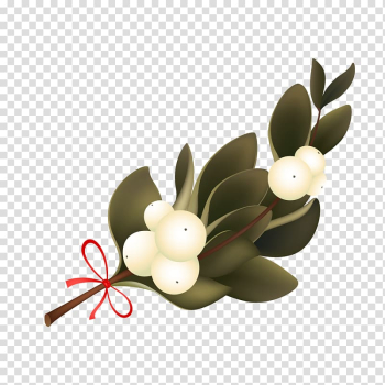 Pear tree transparent background PNG clipart