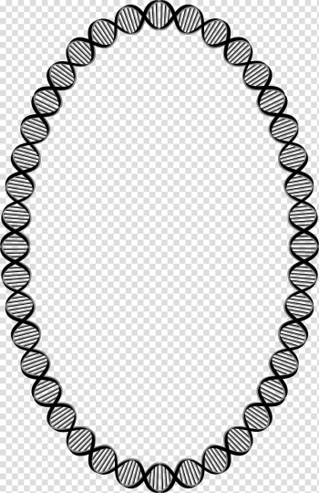 Pearl necklace Pearl necklace Tahitian pearl Bracelet, circle frame transparent background PNG clipart
