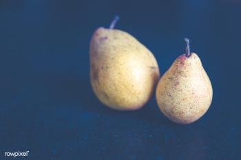 Pears on dark background | Free public domain photo - 432881 Pears on dark background | Free public domain photo - 432881