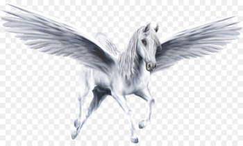 Pegasus Legendary creature Unicorn - pegasus Pegasus Legendary creature Unicorn - pegasus