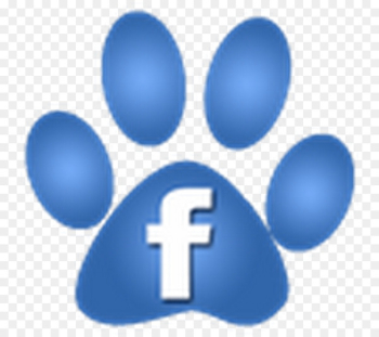 Pekingese Paw Cat Moses Lake Veterinary Clinic Facebook - Cat 