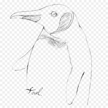 Penguin Ducks, Geese and Swans Bird Goose Sketch - penguin Penguin Ducks, Geese and Swans Bird Goose Sketch - penguin