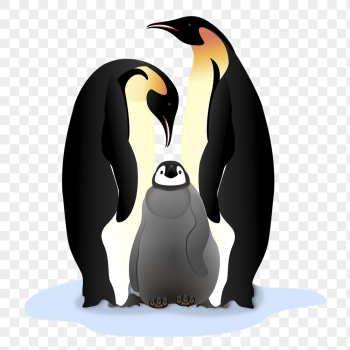 Penguin family png sticker clipart, | Free PNG - rawpixel