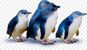 Penguin Fauna Beak - Penguin Fauna Beak -