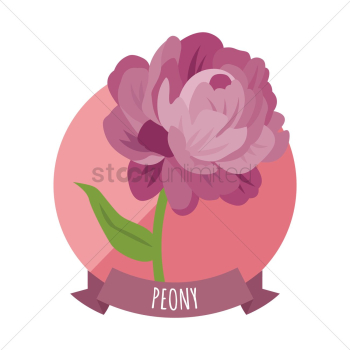 Peony Peony