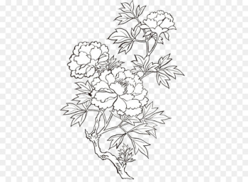 Peony Drawing Flower Painting - Vector peony printing Peony Drawing Flower Painting - Vector peony printing