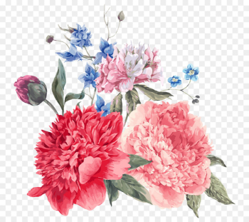 Peony Flower Royalty-free Illustration - Romantic Flower Peony Flower Royalty-free Illustration - Romantic Flower