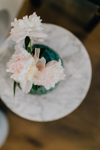 Peony flowers in vase Peony flowers in vase