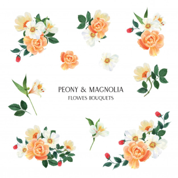 Peony, magnolia, lily flowers watercolor bouquets  botanical florals llustration Free Vector