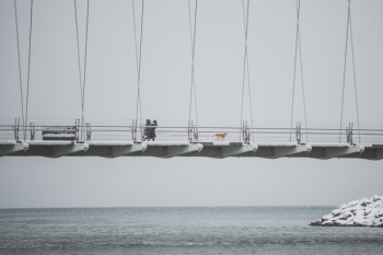 People And Dog Walk On Snowy Bridge People And Dog Walk On Snowy Bridge
