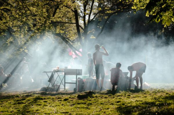 people barbecuing under green tree people barbecuing under green tree