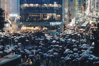 people carrying umbrella people carrying umbrella