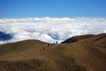 people climbing on mountain during daytime people climbing on mountain during daytime