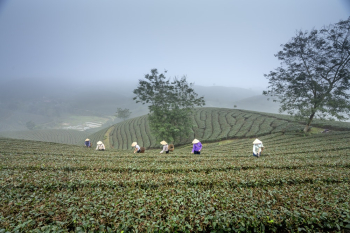 People Harvesting People Harvesting