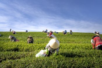 People Harvesting People Harvesting