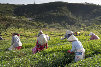 People Harvesting People Harvesting