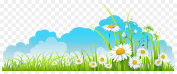 people in nature nature meadow natural environment camomile people in nature nature meadow natural environment camomile