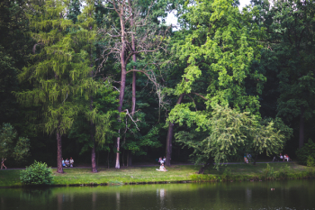 People in the park People in the park