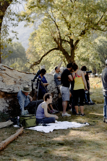 People Near Tree People Near Tree
