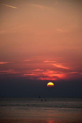 people on beach during golden hour people on beach during golden hour