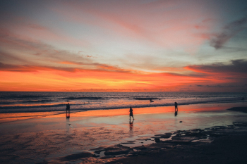 People on Beach during Golden Hour People on Beach during Golden Hour