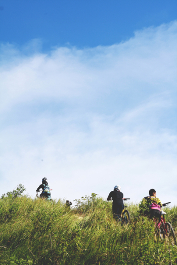 People on Grasses during Daytime People on Grasses during Daytime