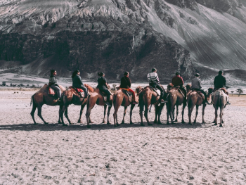 People Riding Horse People Riding Horse