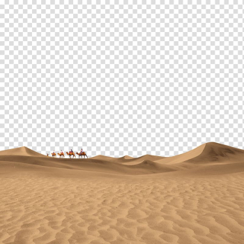 People riding on camel in desert, Floor Brown Sky Pattern, The camel in the desert transparent background PNG clipart